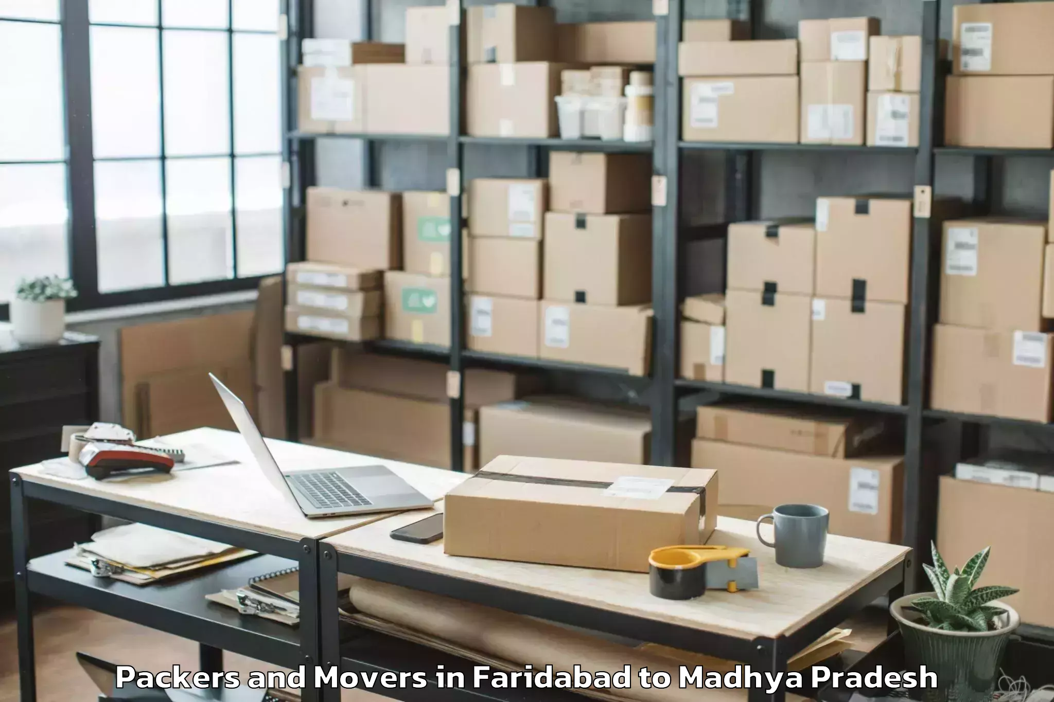 Professional Faridabad to Betul Packers And Movers